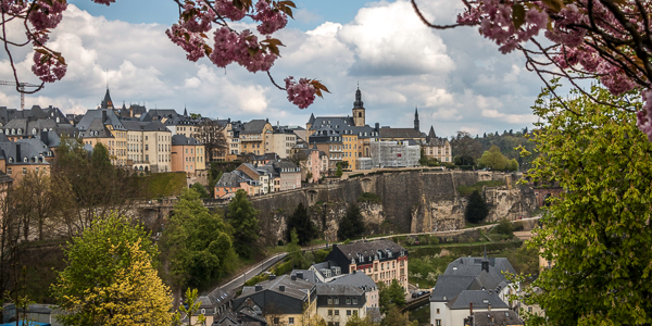 A plethora of schoolboy errors