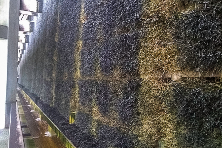 Happy Anniversary Happy Anniversary