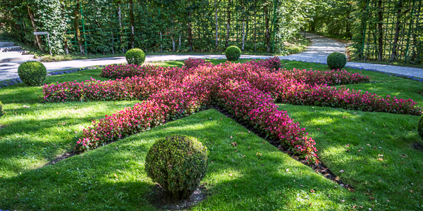 Taste Sensations Taste Sensations